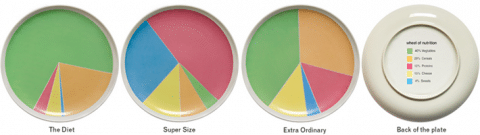 Wheel of Nutrition Key