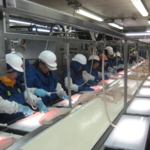Alaskan Fish Processing Plant