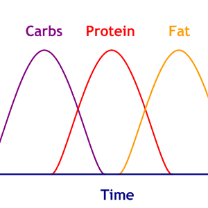 Energy Absorption Rates - Carbs, then Protein, then Fat