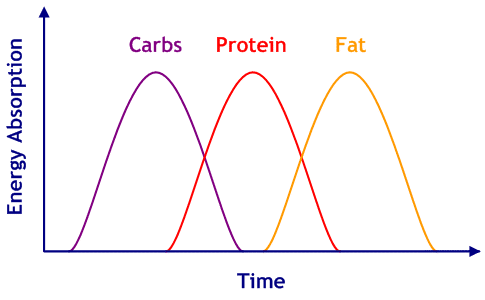 Energy Absorption Rates - Carbs, then Protein, then Fat