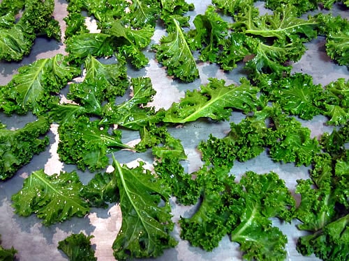 Kale Leaves Ready for Baking