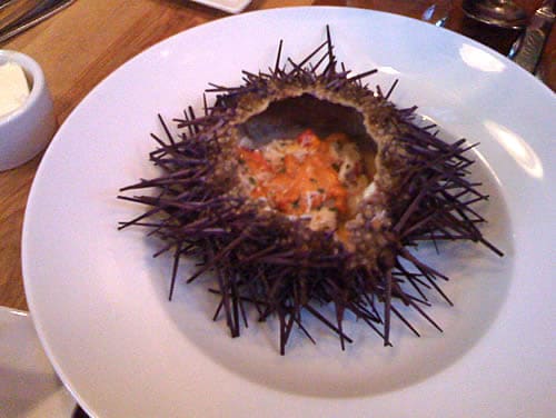 Sea Urchin Appetizer