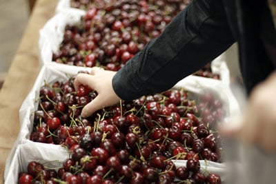 Farmers' Market Cherries