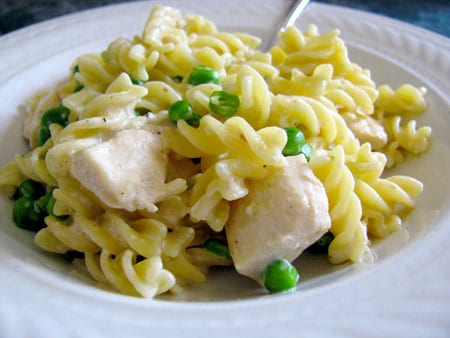 Chicken and Cheese Pasta