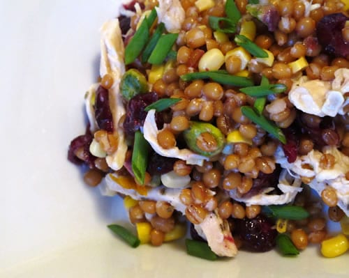 Chicken Cranberry Wheat Berry Salad (in a Small Kitchen)