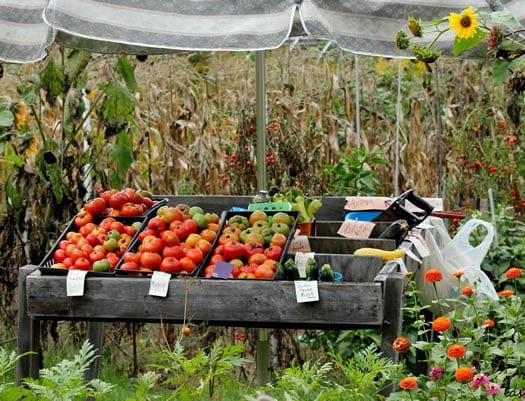 Farm Stand