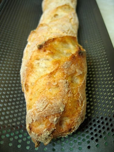 Gluten-Free Sourdough Bread