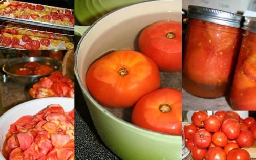 Preserving Winter Tomatoes