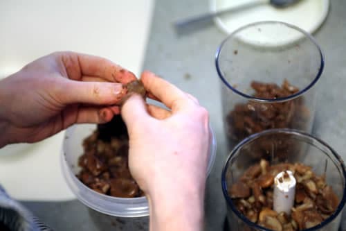 Peeling cooked fava beans