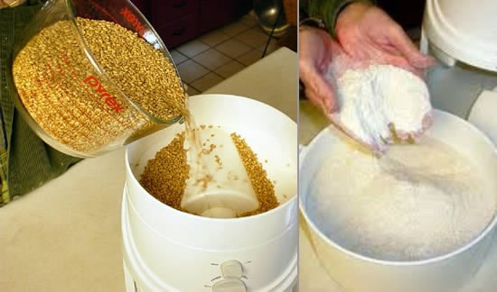 Grind Your Own Grains