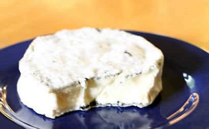 Homemade Bloomy-Rind Cheese