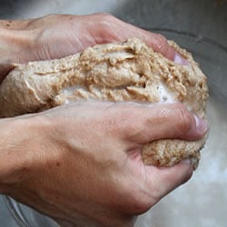How To Make Seitan from Whole Wheat Flour