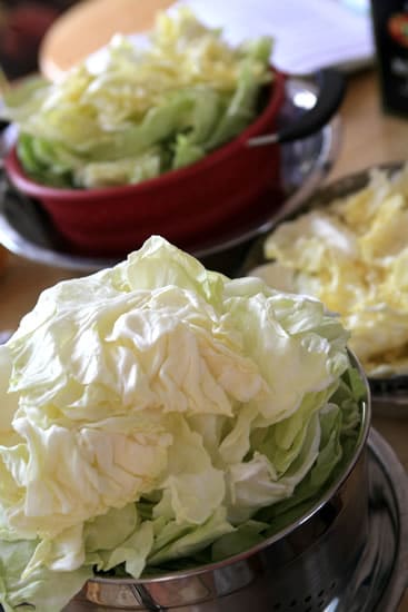 Kimchi Cabbage