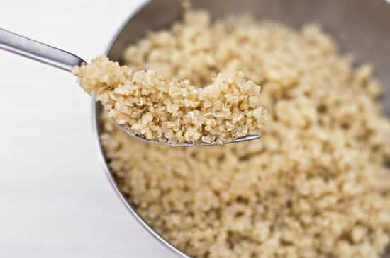 Cooked Quinoa