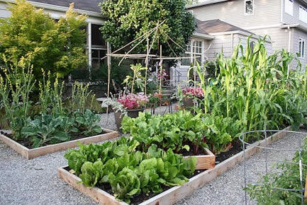 Sustainable Eats' Garden