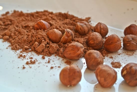 Homemade Chocolate, Cocoa Powder and Hazelnuts