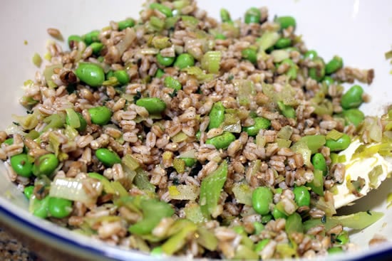 Italian Farro Salad with Fava Beans