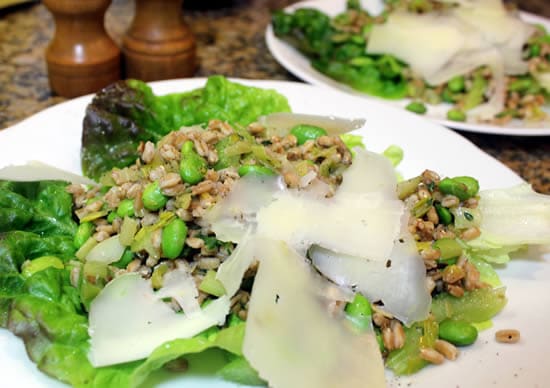 Italian Farro Salad with Fava Beans