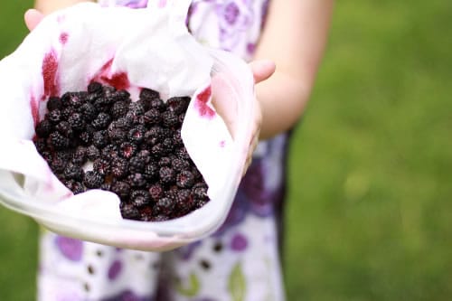 Raising Kids to Appreciate Unprocessed Food