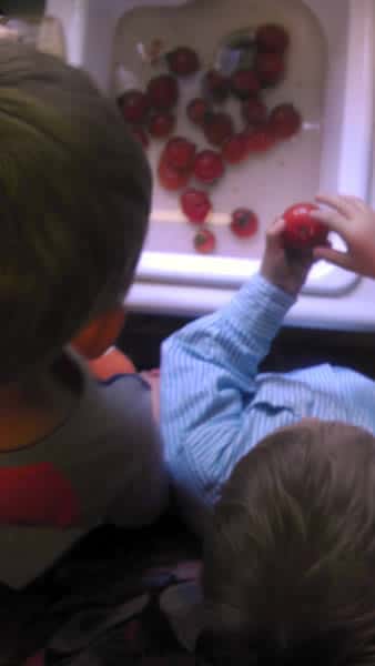 Kids washing tomatoes