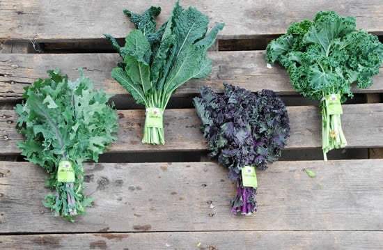 Kale: Your Friend with Benefits