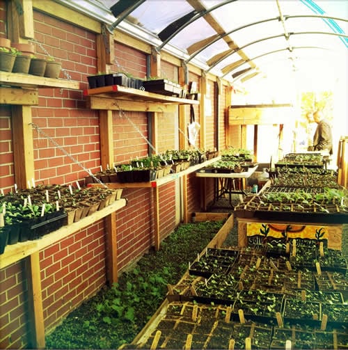 Urban Farming