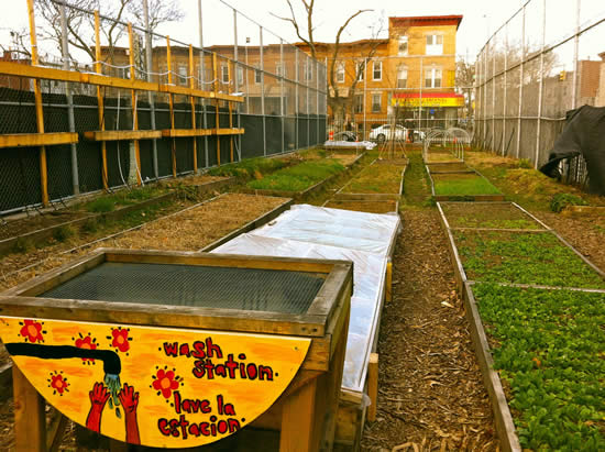 Urban Farming