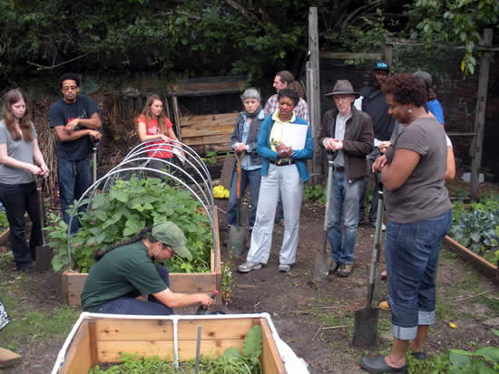 Urban Farming Classes