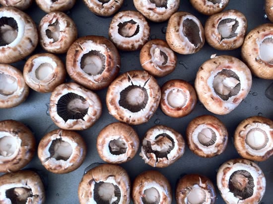 Mushroom Caps for Whole Wheat Stuffed Mushrooms