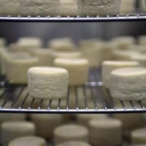 Cheeses in the aging cave
