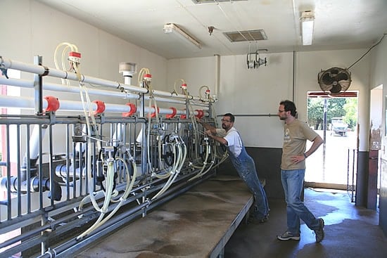 Redwood Hill Farm's Milking Room