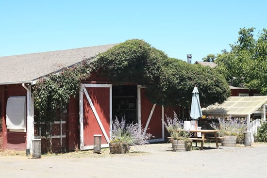 A Tour of Redwood Hill Farm