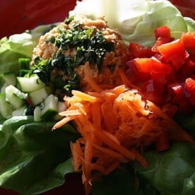 Almond-Crusted Curry Chicken Lettuce Wraps