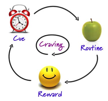 The Habit Cycle: Cue, Routine, Reward, Craving