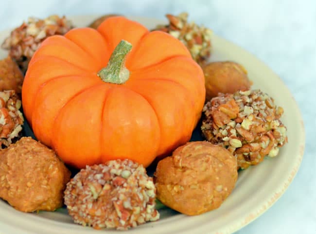 Vegan Pumpkin Peanut Butter Balls