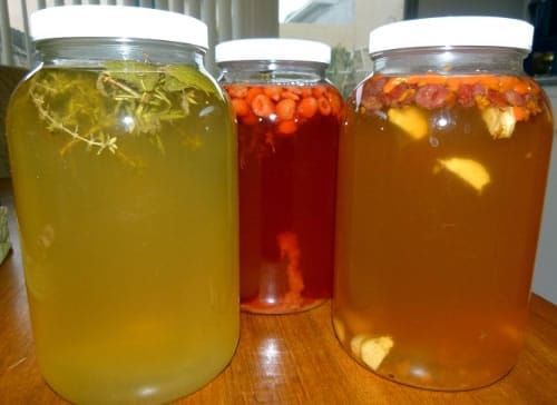 Kombucha Flavors