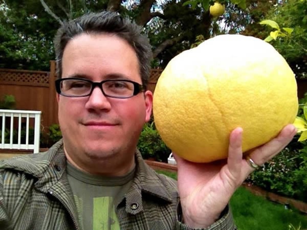 Use a Pomelo for Homemade Pectin