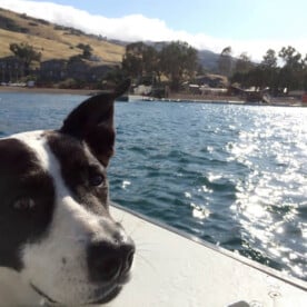 Molly's all smiles onboard the boat