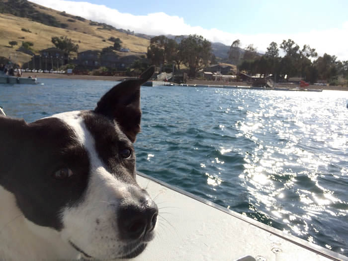 Molly's all smiles onboard the boat