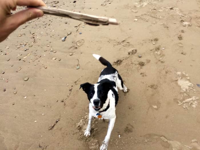 Do you want the stick?