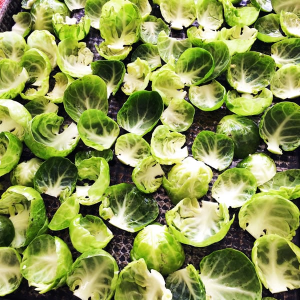 Brussels Sprout Chips