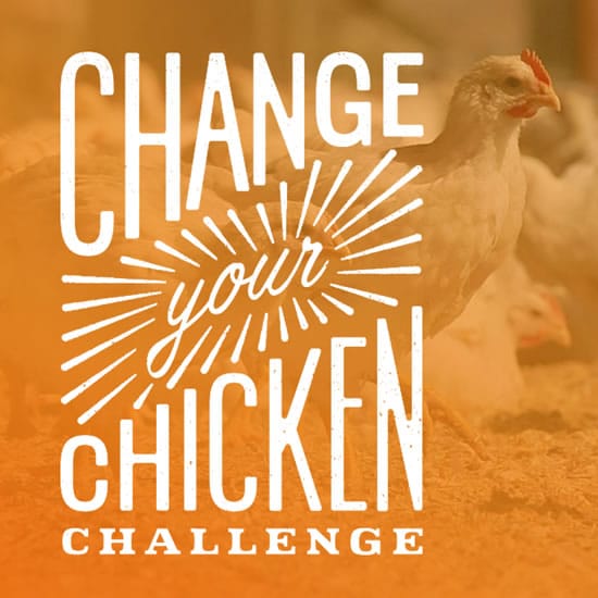 While You Go Unprocessed, Consider Changing Your Chicken, Too