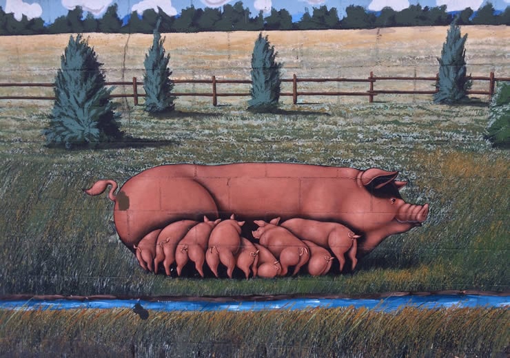 Idyllic mural of a sow and her piglets