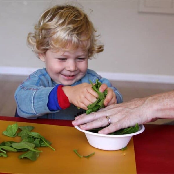 Cook-and-Learn Activities for Kids