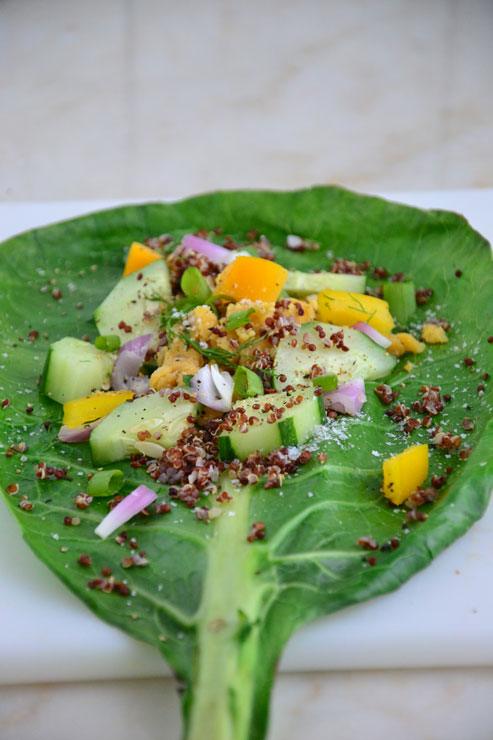 collard wraps with filling