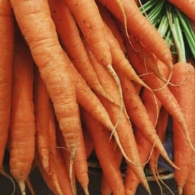 Bunch of carrots