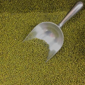 mung beans